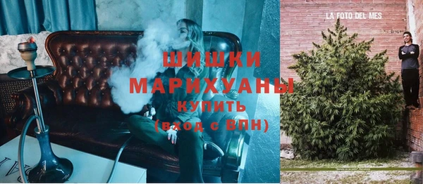 стаф Бронницы